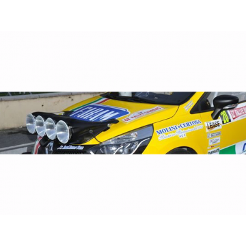 PORTAFARI DA COFANO RENAULT CLIO R3