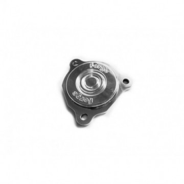Turbo Blanking Plate for Ford Escort...