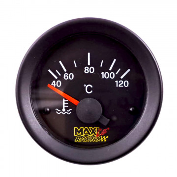 MANOMETRO TEMPERATURA ACQUA BORLETTI