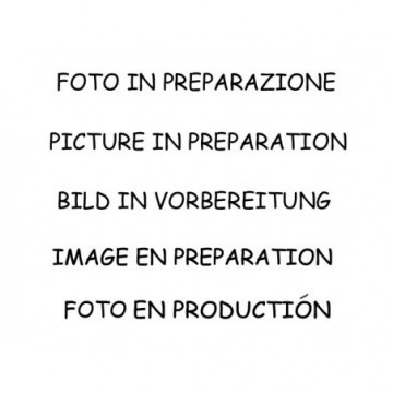 Posteriore inox con terminali rotondi...