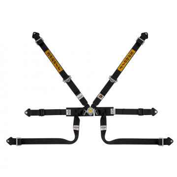 CINTURA SILVER FORMULA