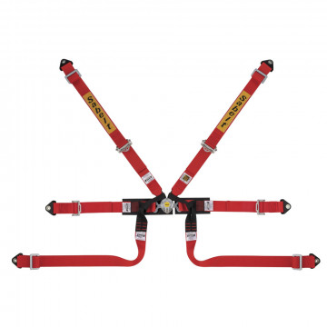 CINTURA SILVER FORMULA