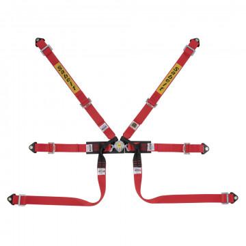 CINTURA STEEL FORMULA BASIC