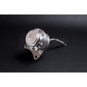 Adjustable Actuator for...