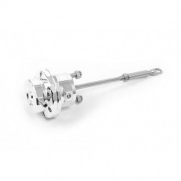 Piston Actuator for the...