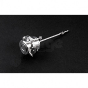 Adjustable Actuator for...