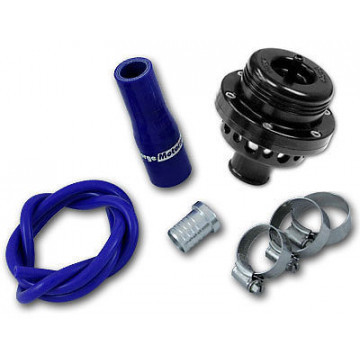 Mazdaspeed Protegé Valve...