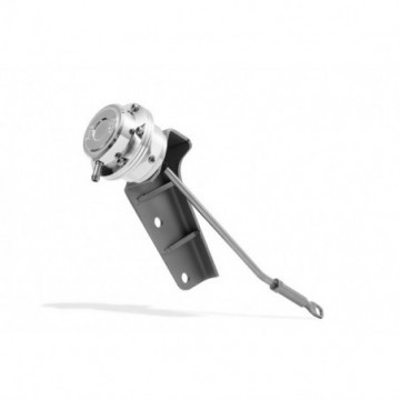 Adjustable Actuator for...