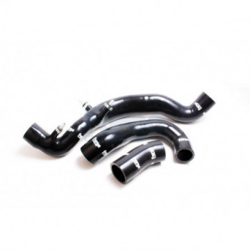 Silicone Hoses for the 451...