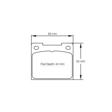 Sagoma Pagid E3102 RS14