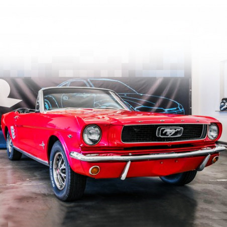 MUSTANG 289 (I° SERIE)