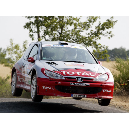 Peugeot 206 S1600