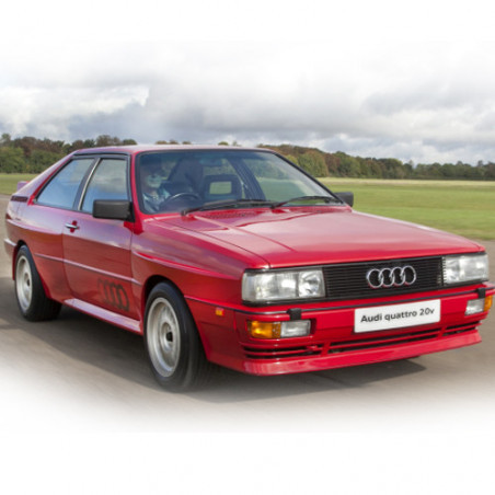 COUPE' / QUATTRO - Tipo 81/85 telaio B2